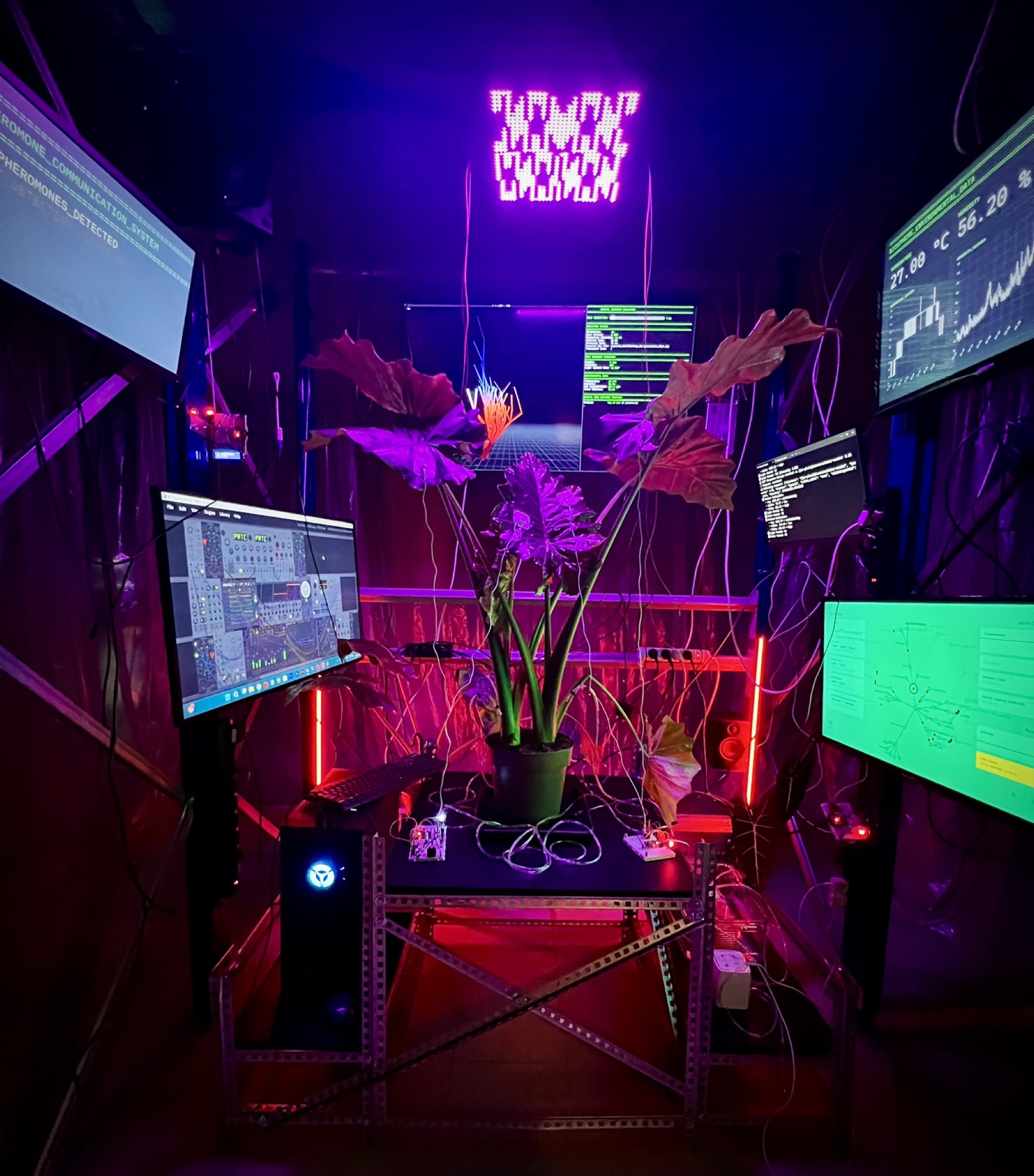 Biosphere installation — a living plant surrounded by monitors and neon light in a dark environment