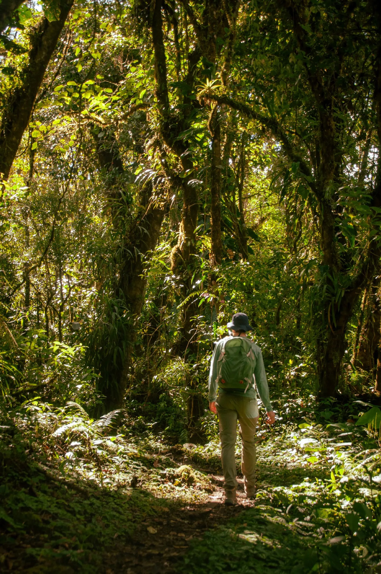 Jan S'heeren exploring the Amazon rainforest